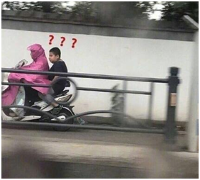 這毛（máo）驢不錯（cuò）