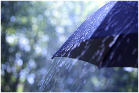 暴雨專用雨（yǔ）傘