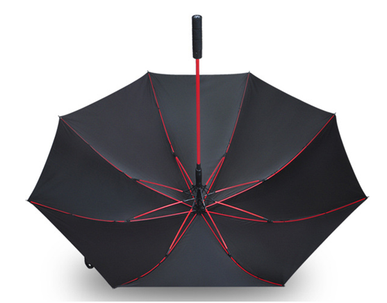 纖維傘骨（gǔ）