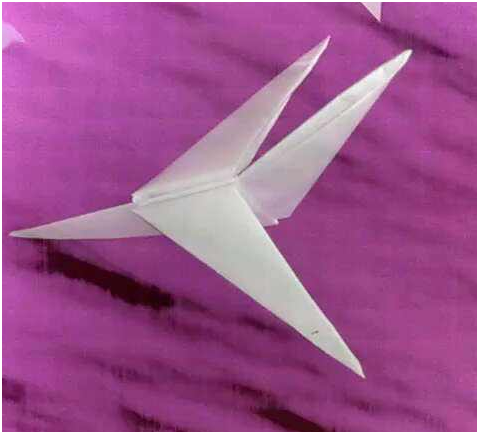 紙（zhǐ）飛機
