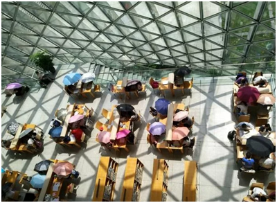 撐雨傘看書（shū）