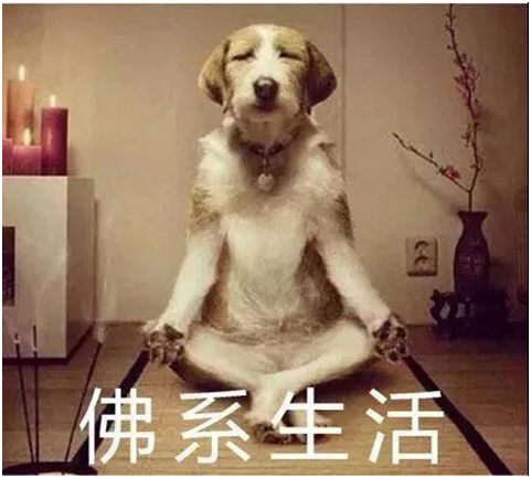 佛性（xìng）生活