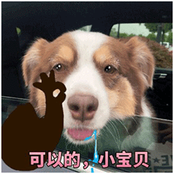 可以的，小寶貝