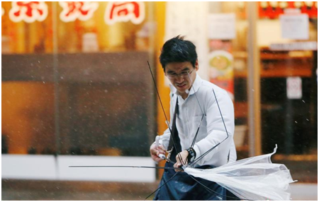 台風下的透明傘