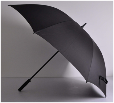 直骨傘